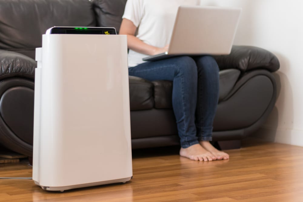 air purifier in living room